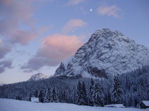 30181-siera-07.12.2008